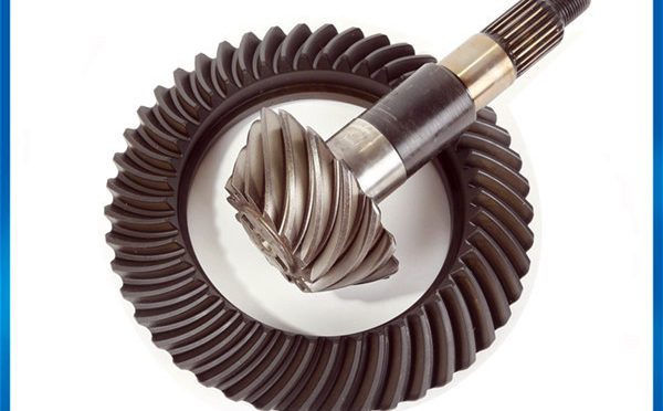 gear worm gear in stock made in China