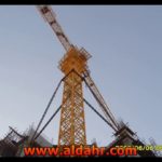 3~25ton China Tavol Topkit Tower Crane