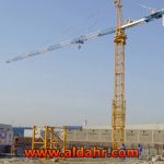 Tower Crane with Motor for Hot Sale QTZ31 5